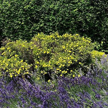 Dunakanyar Pilismarot