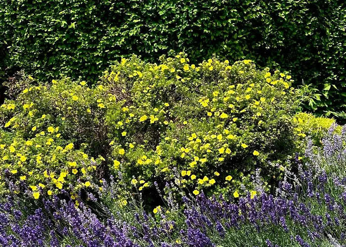 Dunakanyar Pilismarot