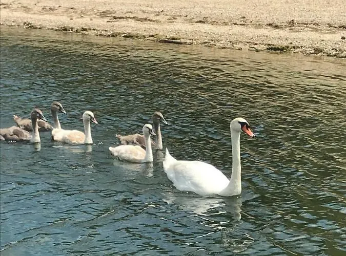 Dunakanyar * Pilismarot